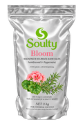 Bloom